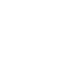 Radioimágenes Raadiologos Asociados — Patrocinador SeaShore Race 2026